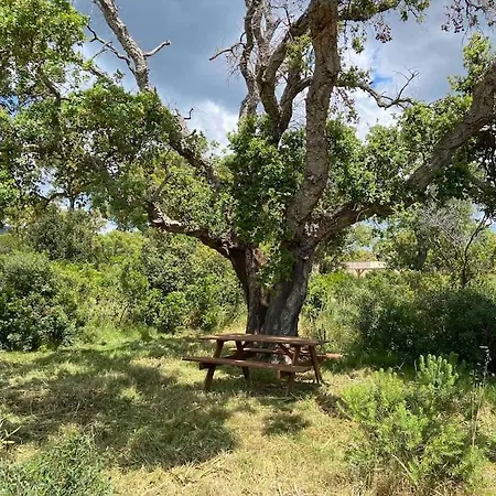 アパート Mini Neuve Avec Terrasse Et Jardin A 800 Metres De La Riviere Et 5 Km De La レクシ